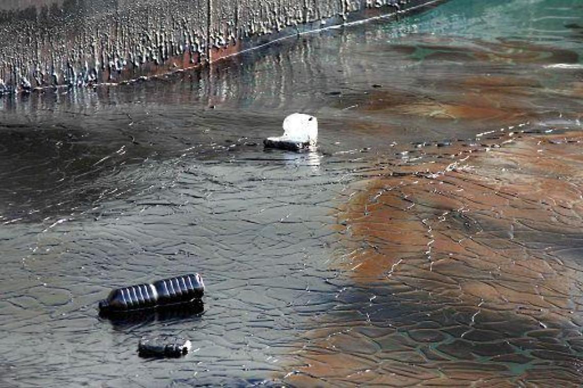 Ambiente/ Mare inquinato: male Calabria, Liguria e Campania