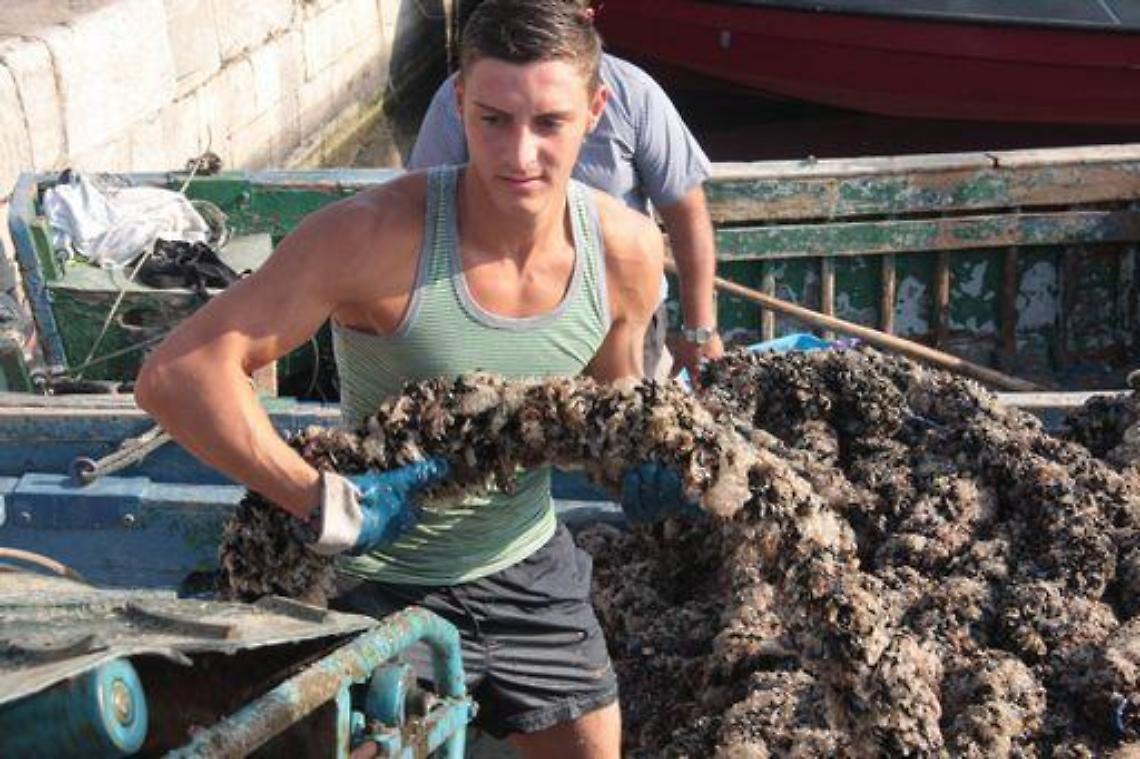 Ilva/ A Taranto si 'indaga' anche sulle cozze