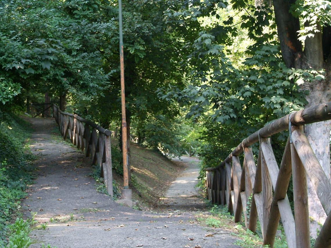 Recupero del Boschetto dei Partigiani <br/>Il Comune investe 113.000 euro