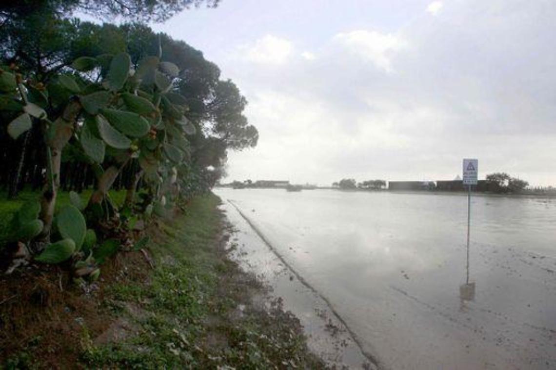 Sicilia/ Micciche: Sciolgo la riserva, mi candido a Presidenza