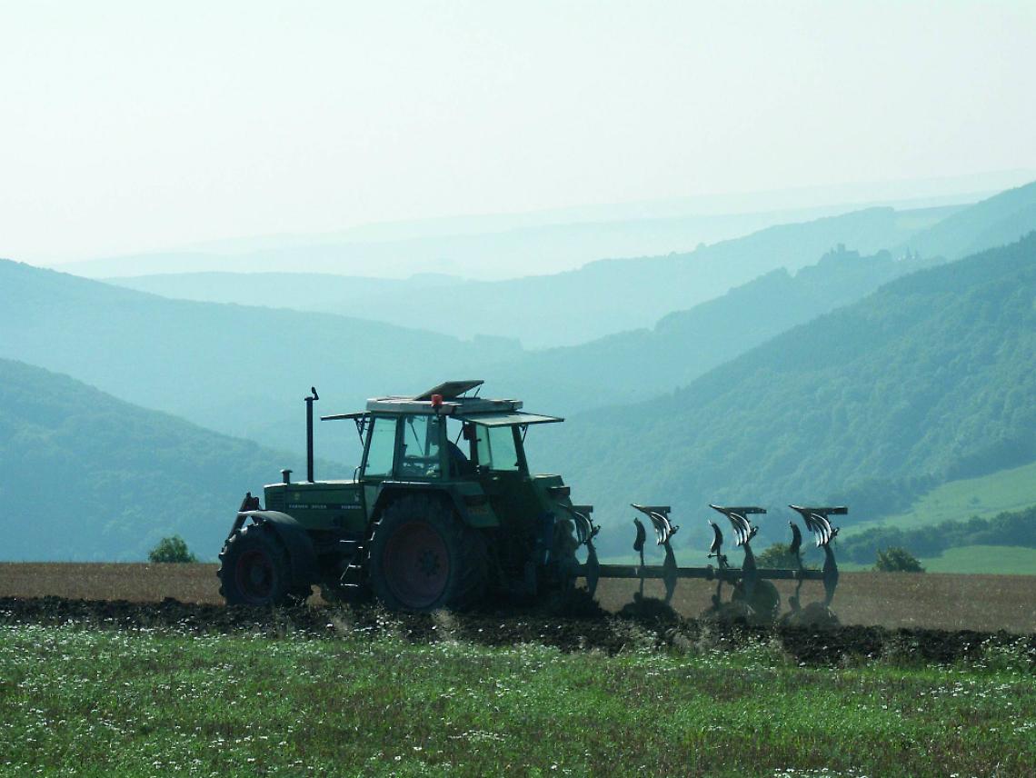 Dal 2010 sparite 9mila aziende agricole<br/>Ma i giovani ritornano in campagna
