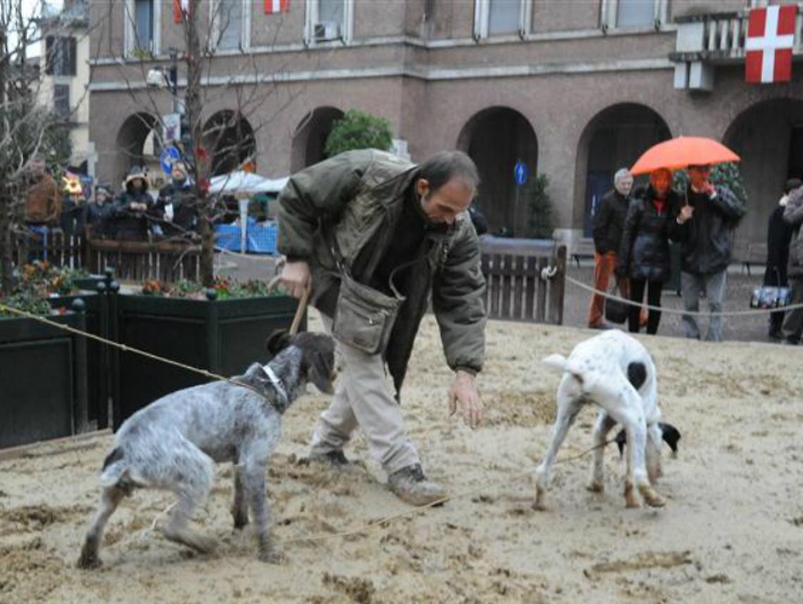 Fiera del tartufo, un esperimento<br/>aspettando la bagna caoda da passeggio