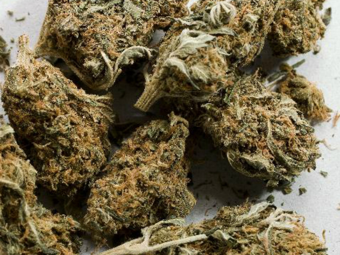 Pregiudicato di Cortemilia denunciato<br/>per guida con patente falsa e droga