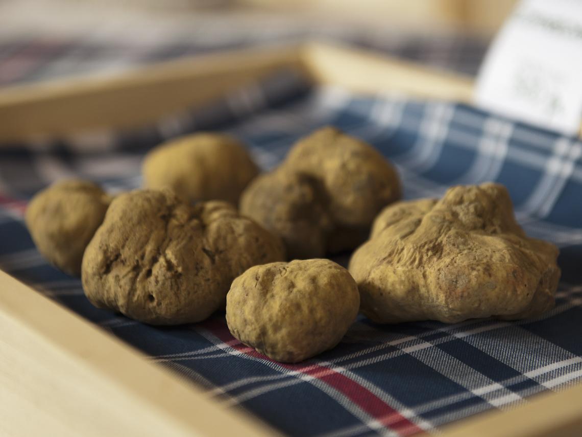 Proseguono le cene al tartufo