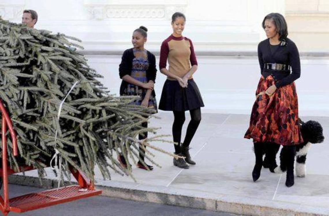 Usa/ Michelle Obama accoglie l'albero di Natale alla Casa Bianca