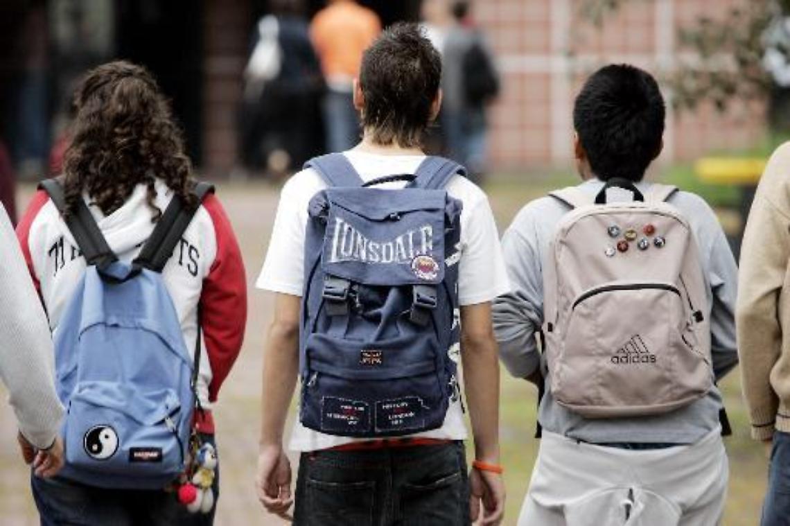 Censimento/ Istat: Superata la soglia dei 4 milioni di stranieri