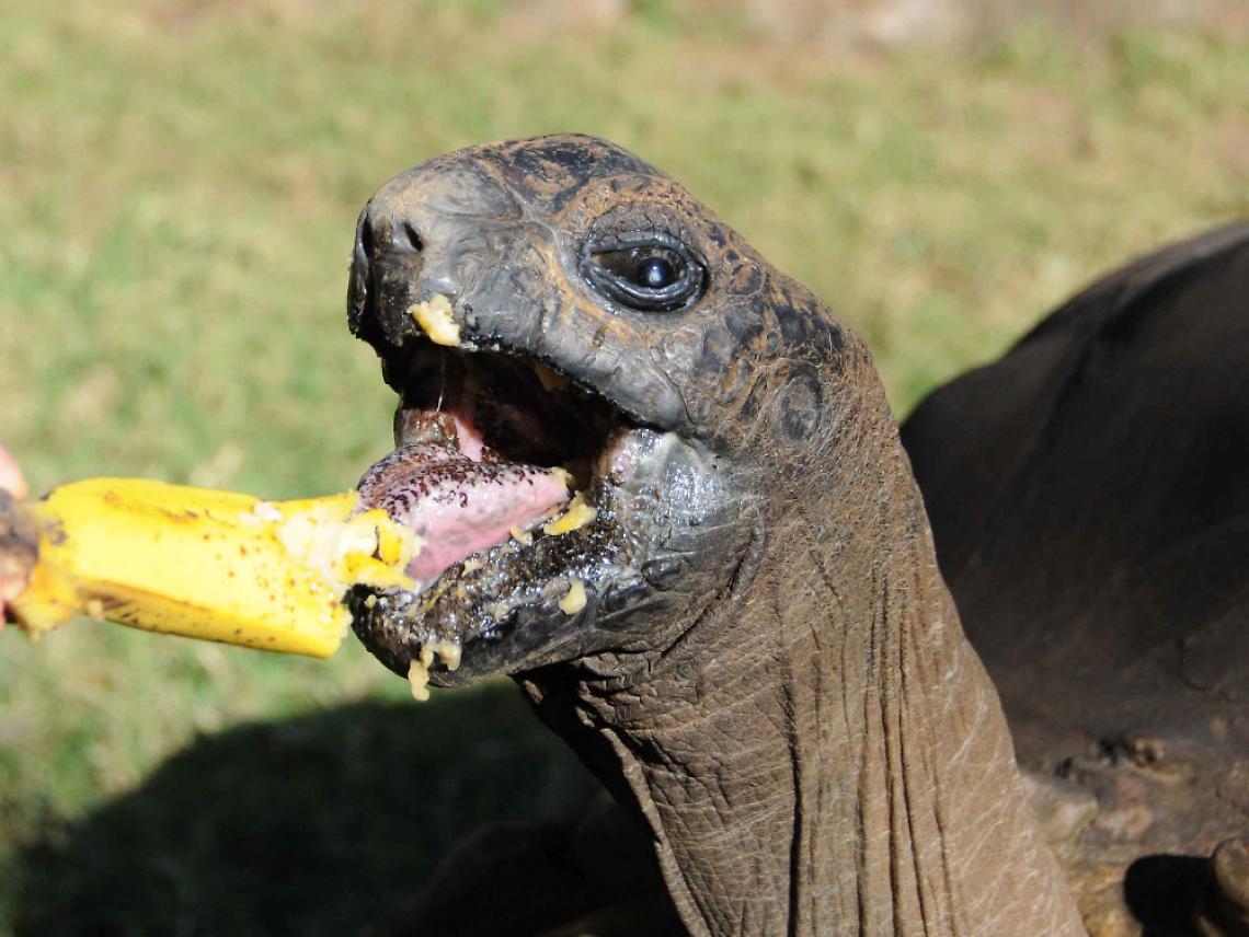 Pensieri sotto la neve...<br/>"Tu chiamale se vuoi, emozioni"