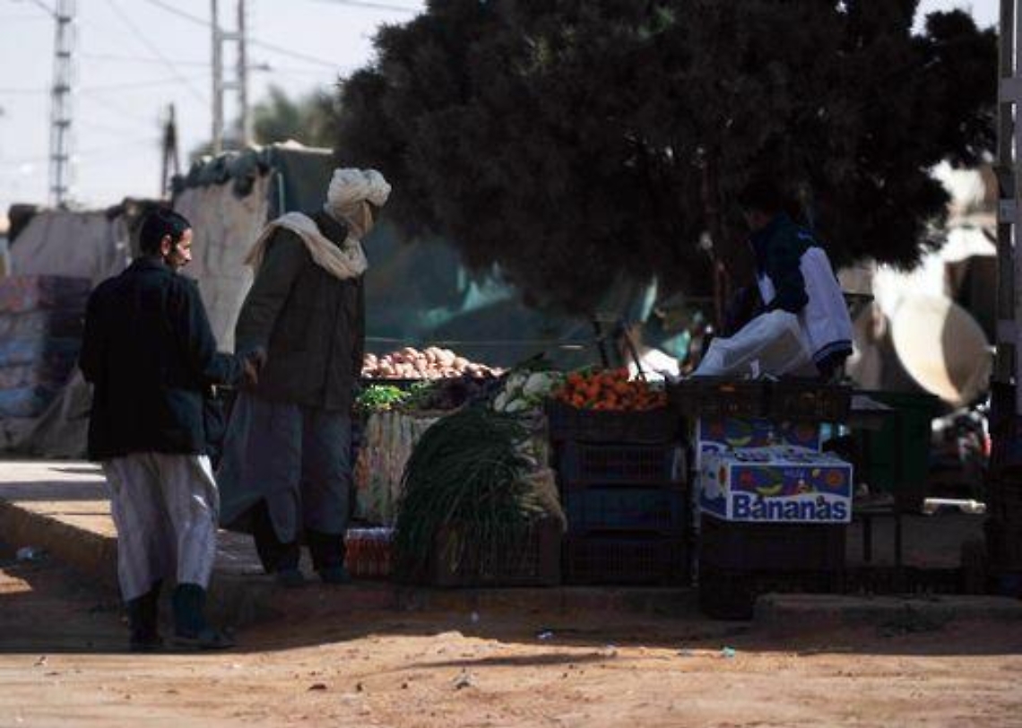 Algeria/ Consiglio Sicurezza Onu condanna attacco "odioso"