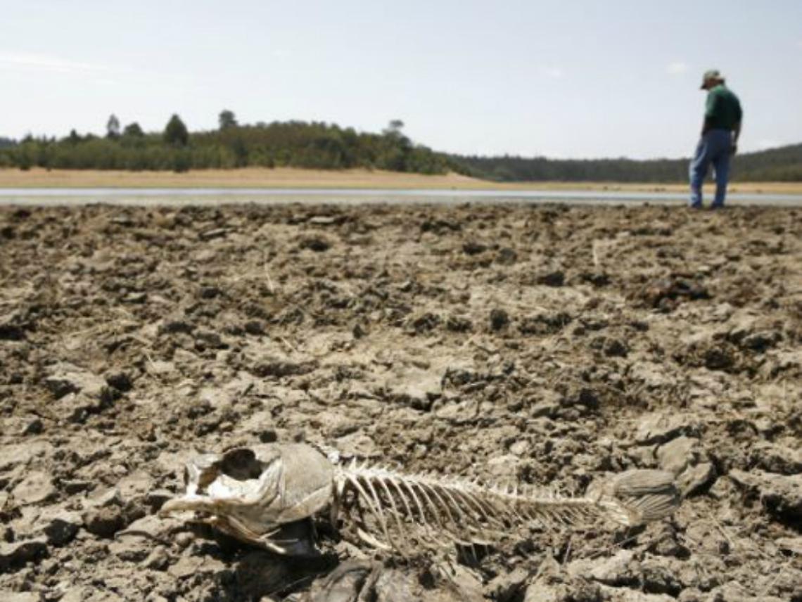 Adulti su un pianeta che non abbiamo rovinato noi