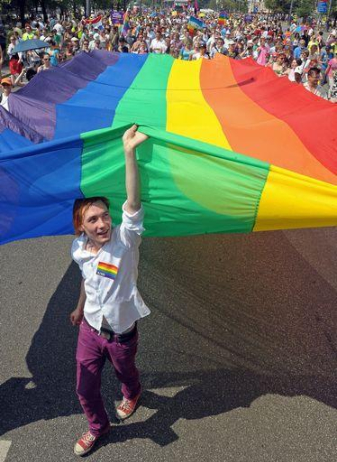 Gay/ Corte europea diritti:Adozione figli come per coppie etero