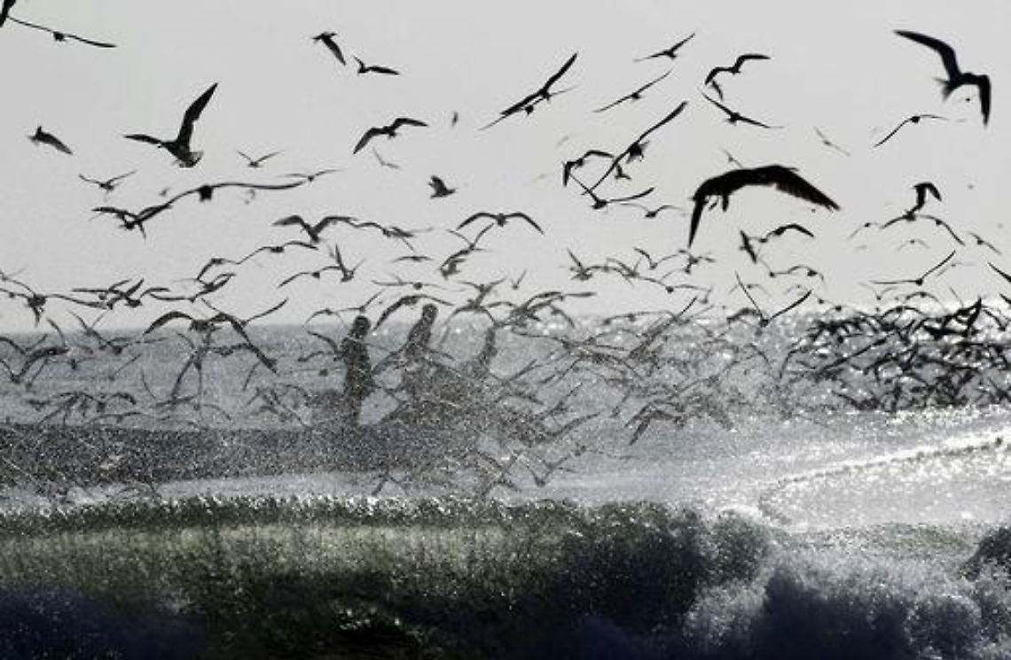 Terremoti/ Alle Isole Salomone 5 morti e 3 feriti per le scosse