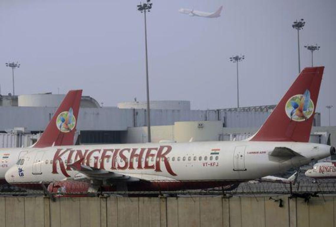 India/ Gatto travolto su pista decollo, compagnia aerea si scusa