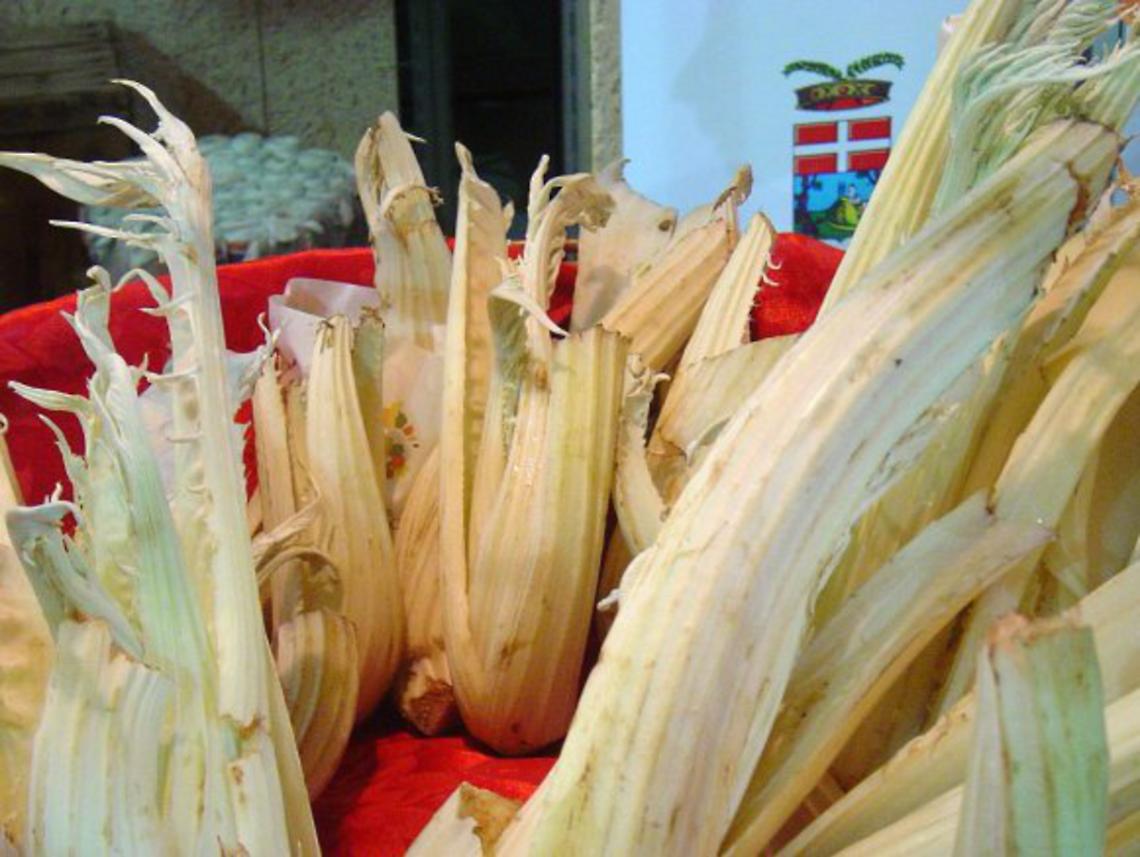 Nizza, il cardo gobbo verso l'eccellenza