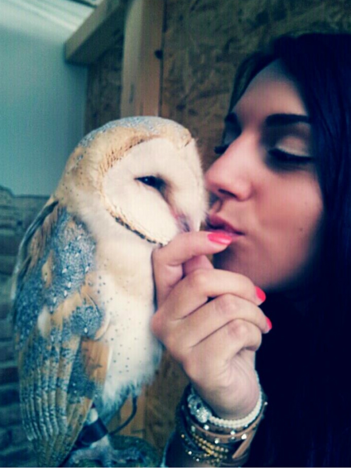 Barbagianni, pitone e boa i pi&ugrave; cari amici di Enrica