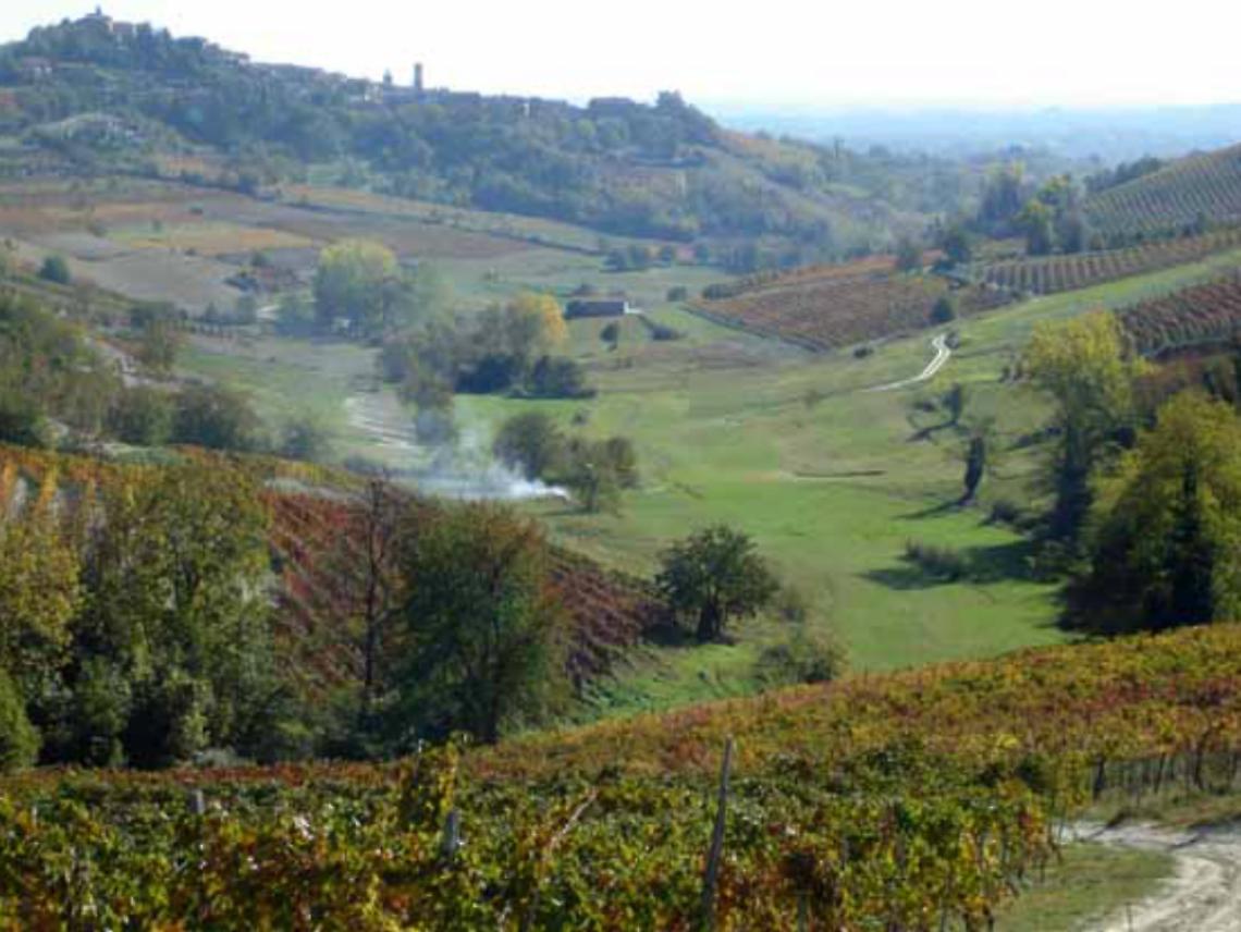 Camminate tra vigne e frutteti<br/>cibo e scene nel medioevo