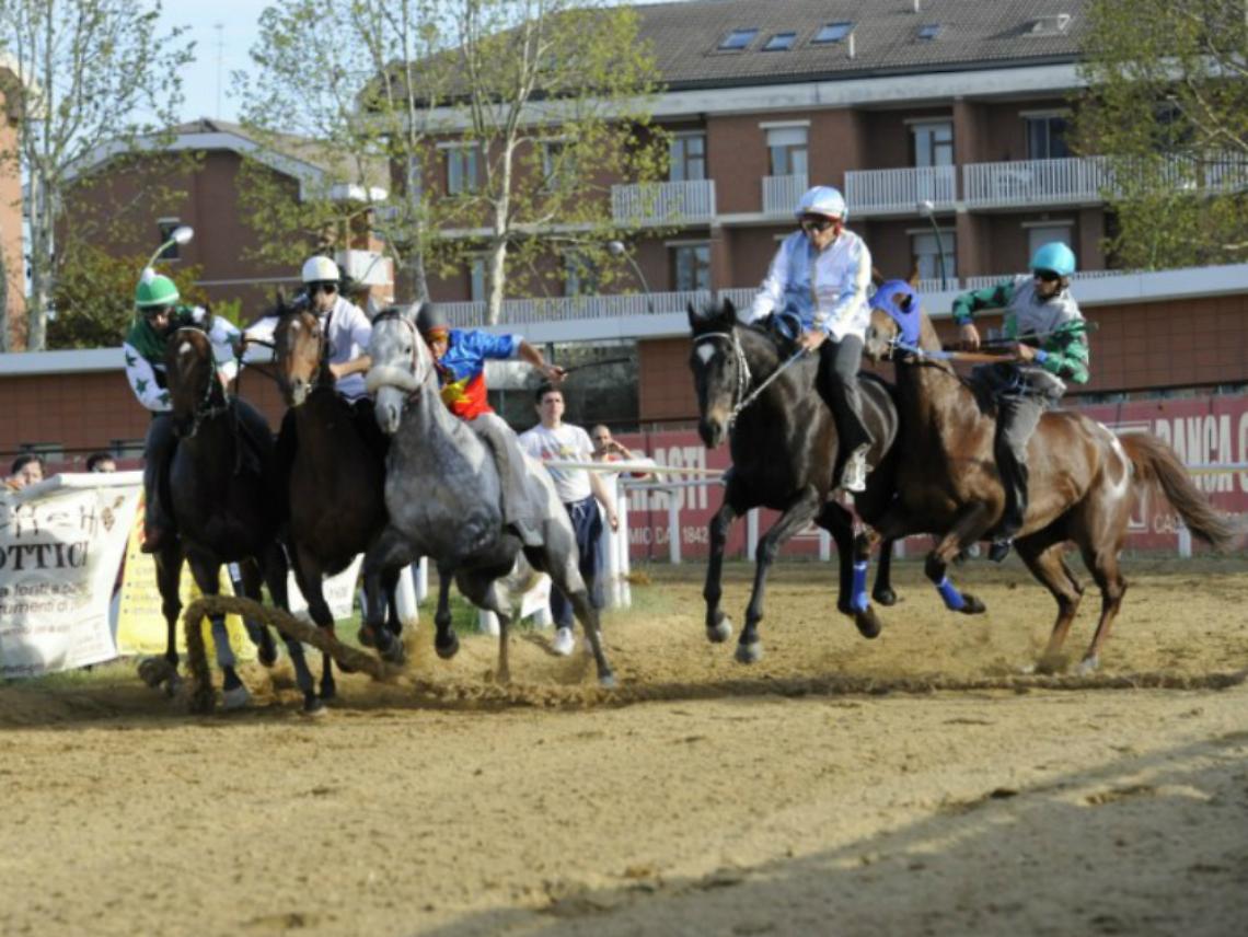 Cavalli in pista allo stadio<br/>Domenica si corre il Memorial Gambino