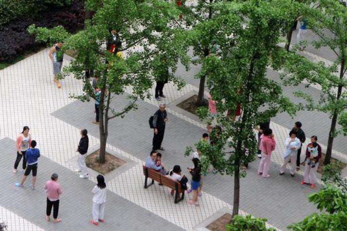 Terremoti/ Cina:scossa magnitudo 6,6, centinaia morti in Sichuan