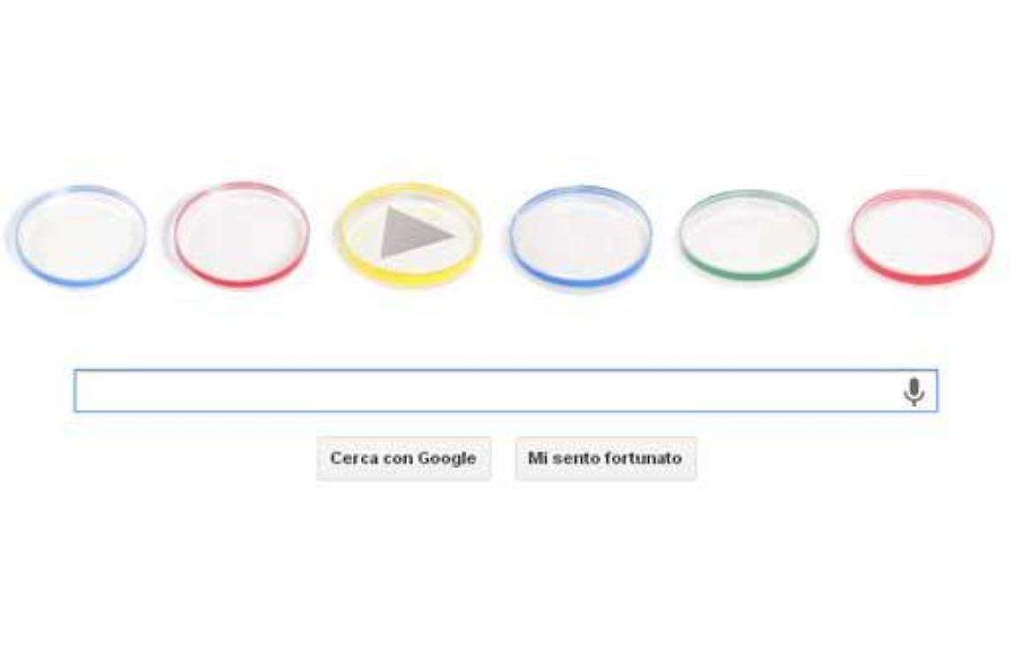 Google/ Il Doodle omaggia il microbiologo Julius Richard Petri