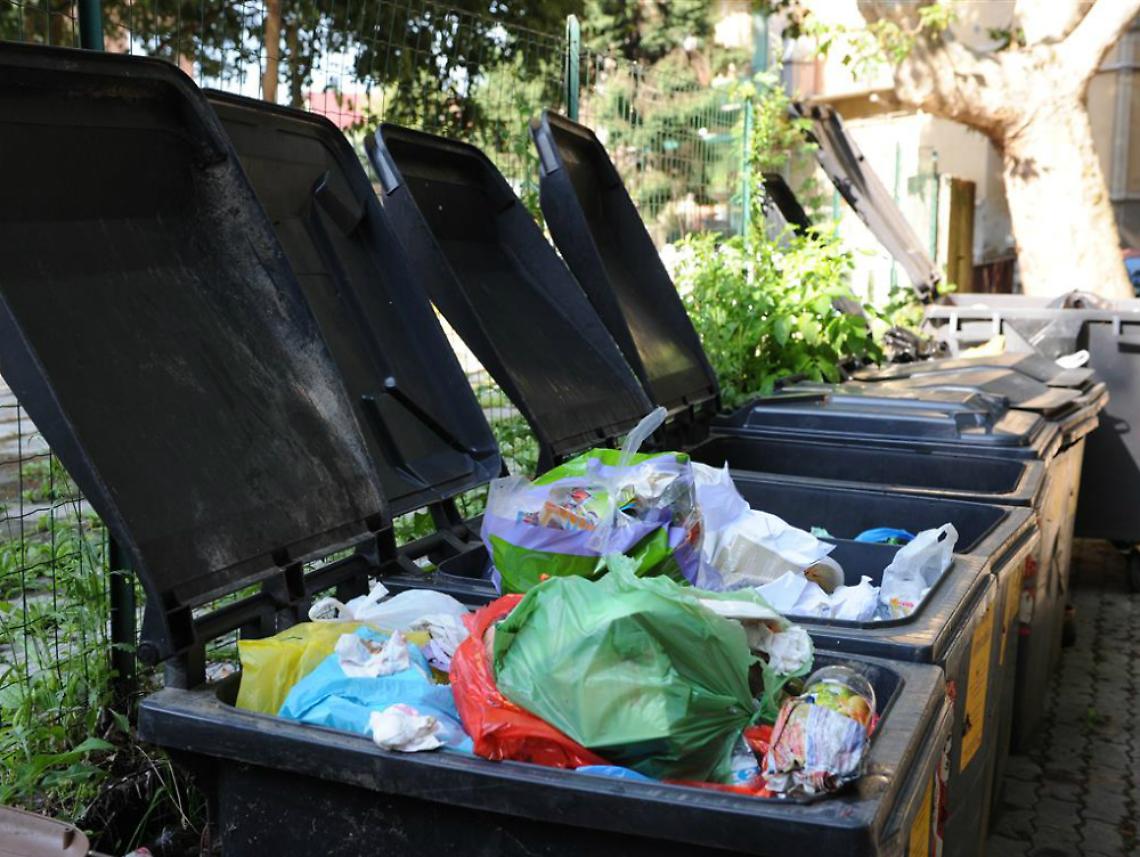 cassonetti dei rifiuti