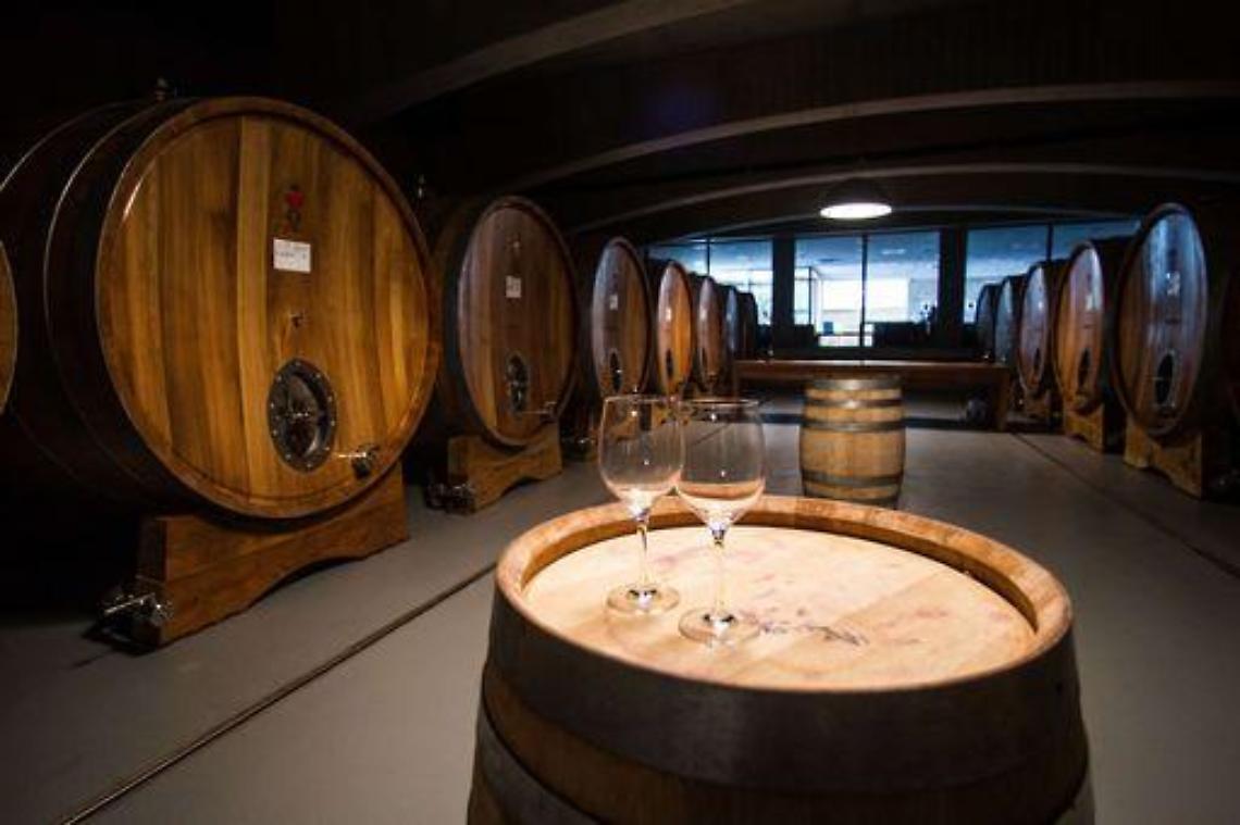 Venezuela/ Chiesa cattolica senza vino per celebrare messa