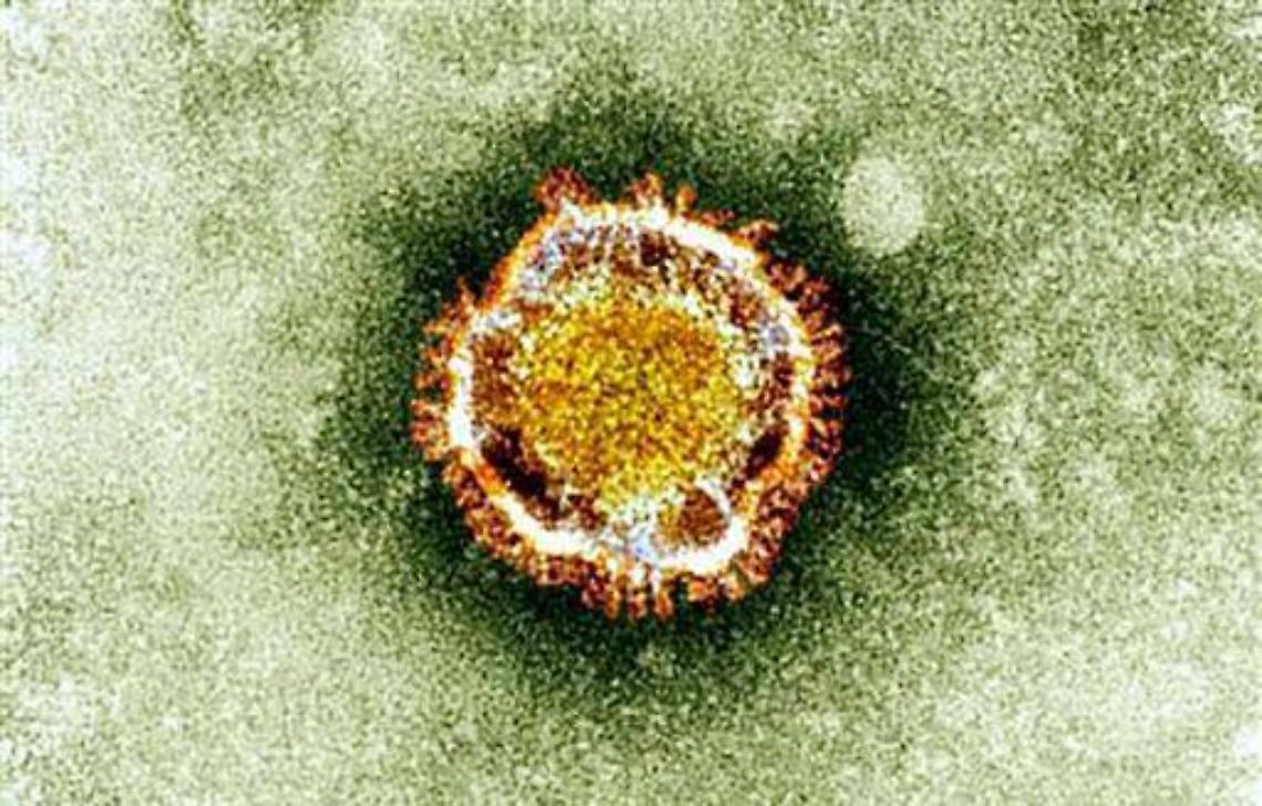 Coronavirus/ A Firenze altri 10 casi positivi ma senza sintomi