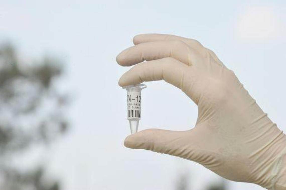 Usa/ Corte Suprema: La polizia pu&ograve; prelevare Dna degli arrestati