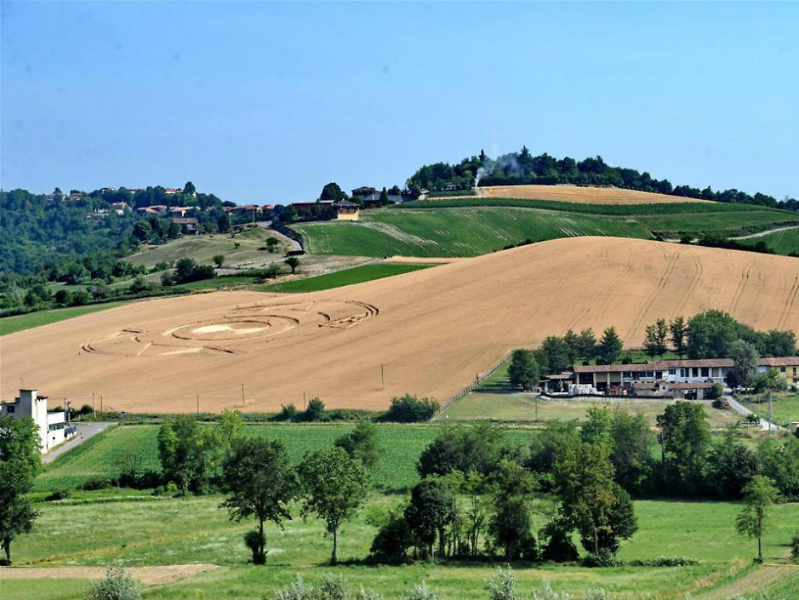 Cerchio nel grano, &egrave; in codice binario?<br/>Scontro fra scettici e chi crede negli alieni
