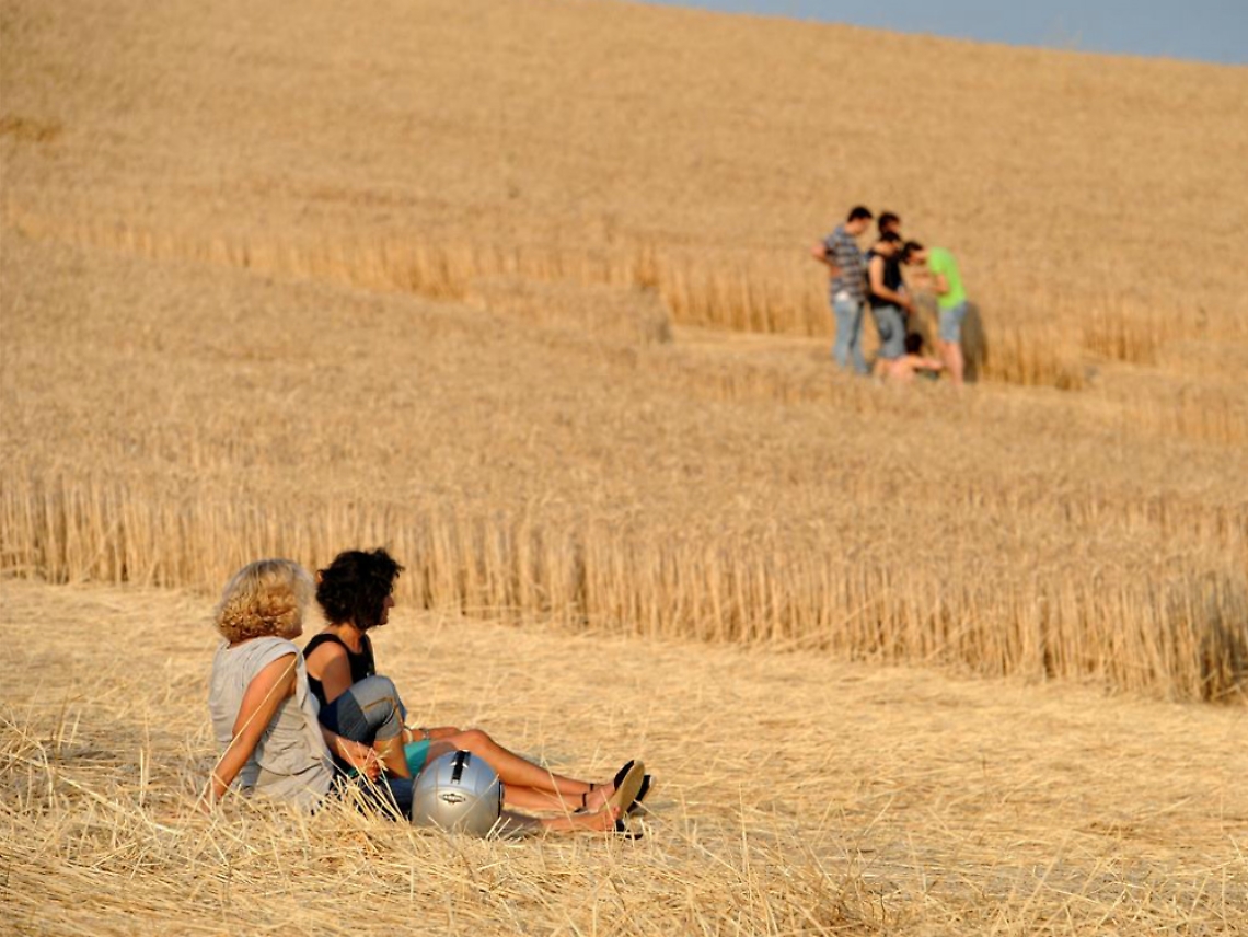 Robella, ultimo weekend del cerchio di grano<br/>In tremila l'hanno visto, ora si trebbia tutto
