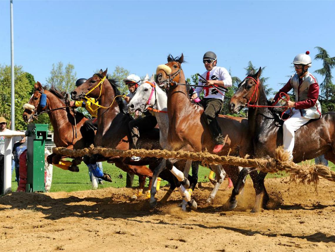 Sabato sera cavalli e fantini allo Stadio<br/>La riunione di qualit&agrave; curata dai Rettori