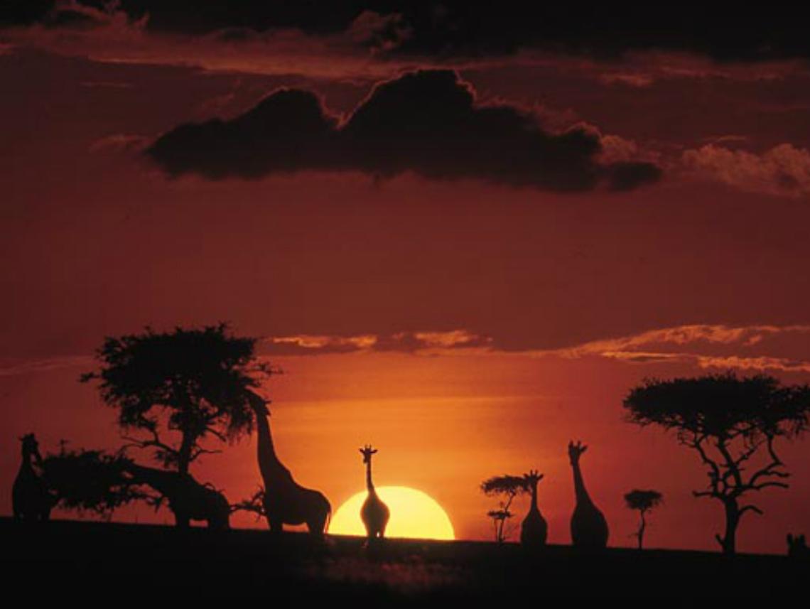 Viaggio in Kenya con la Lvia, iscrizioni aperte fino al 6 settembre