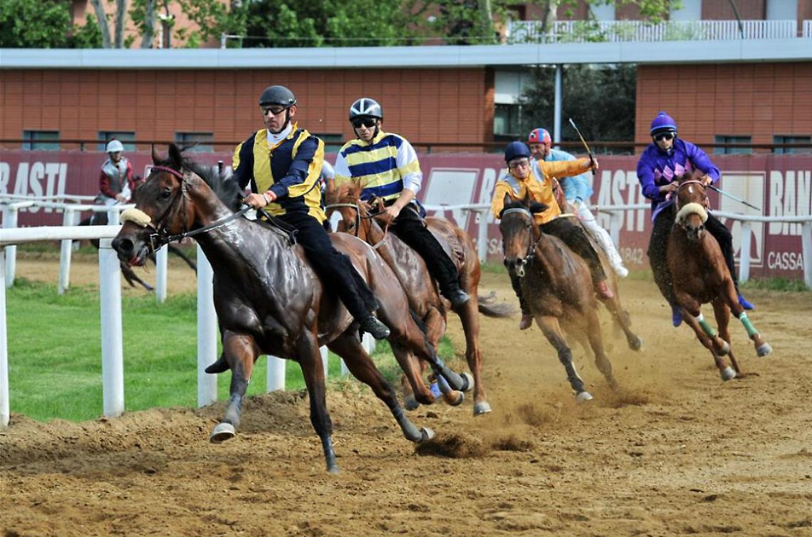 Cavalli, sabato l'ultima corsa<br/>allo stadio Censin Bosia