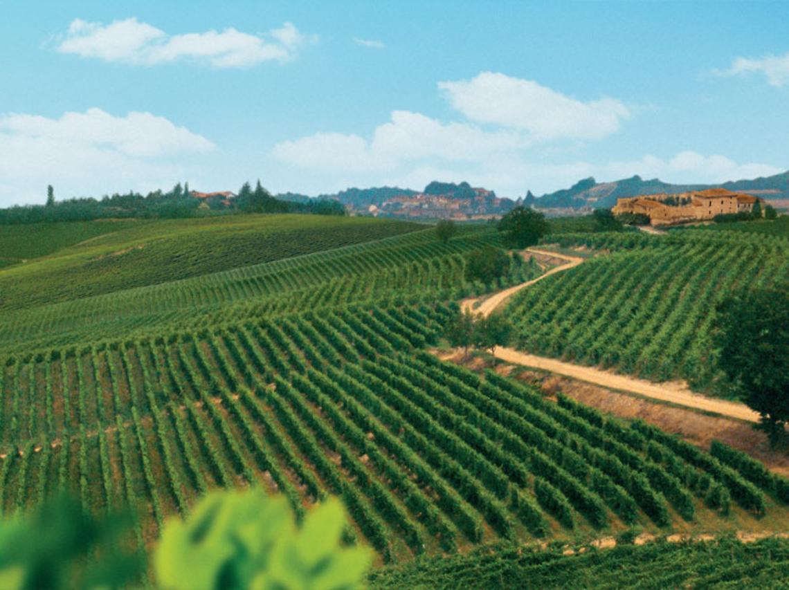 Moscato e Asti Spumante,<br/>le Docg si estenderanno al capoluogo?