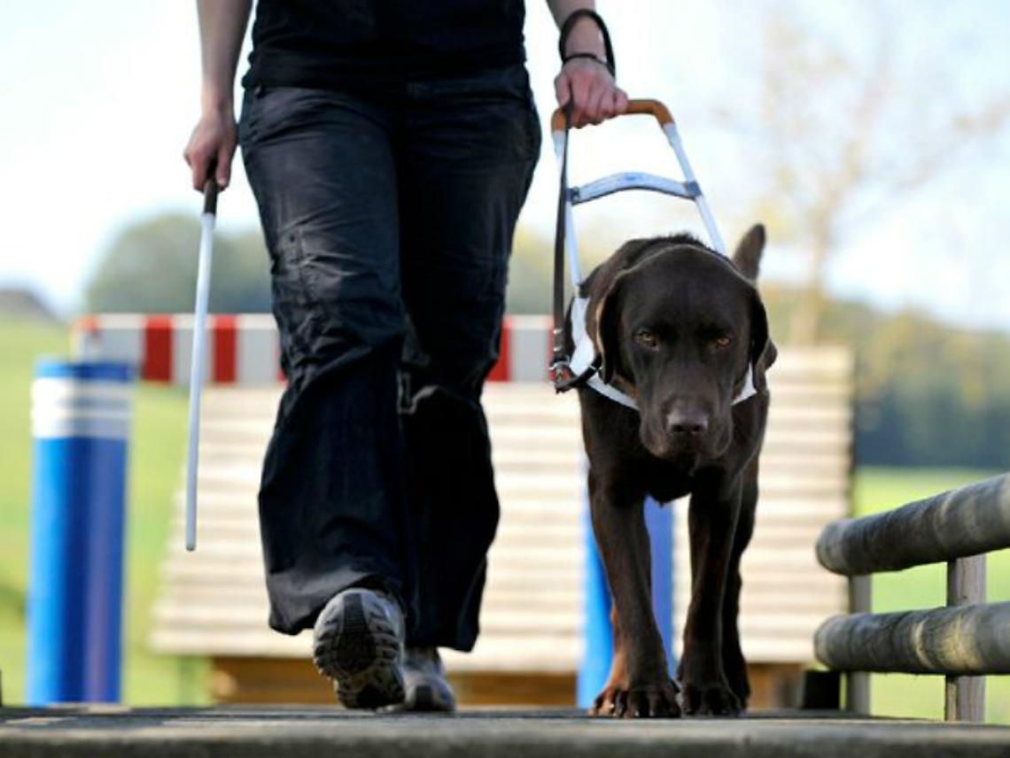 "Quando partite non date mai nulla per scontato"