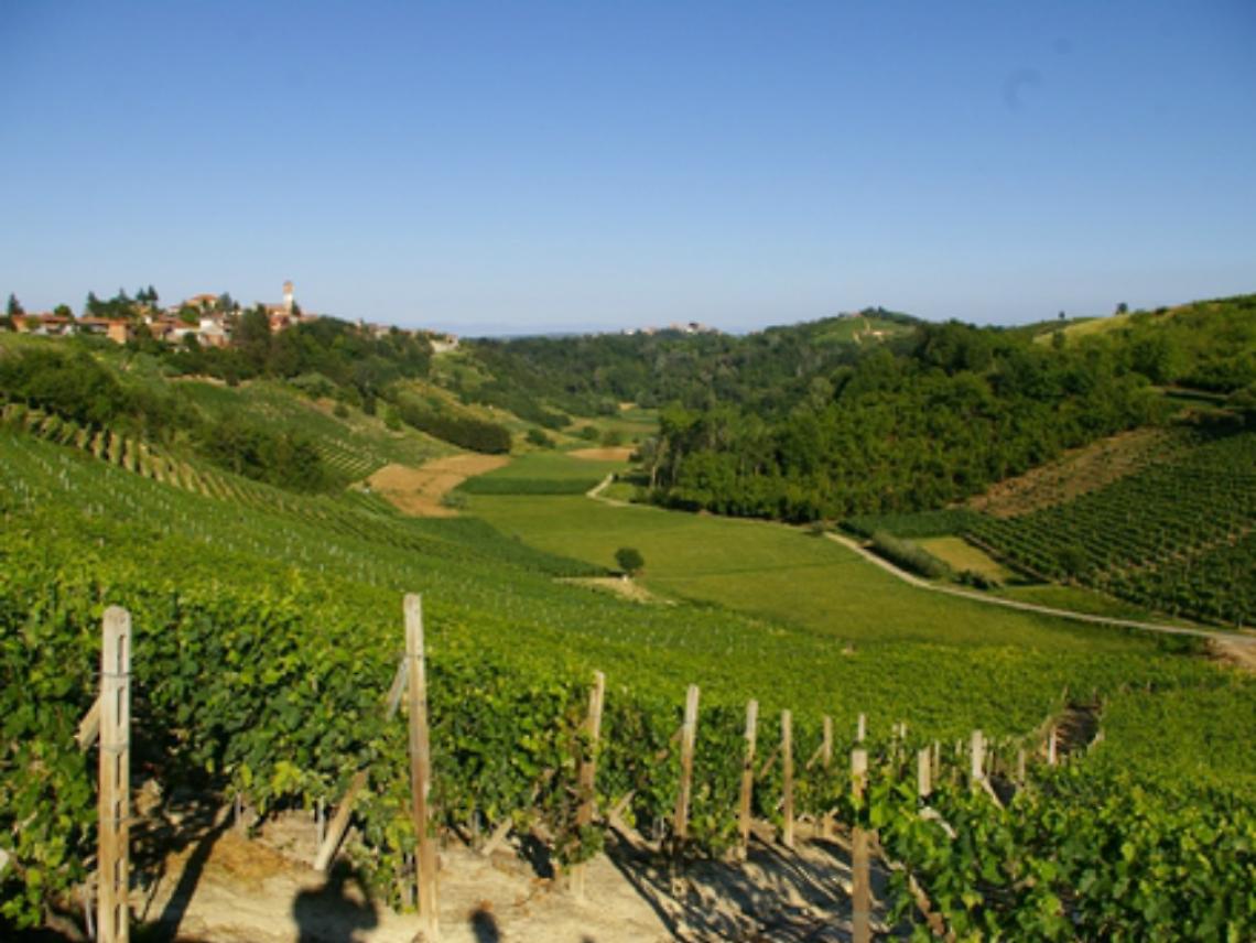 Sabato una camminata sulle colline partigiane