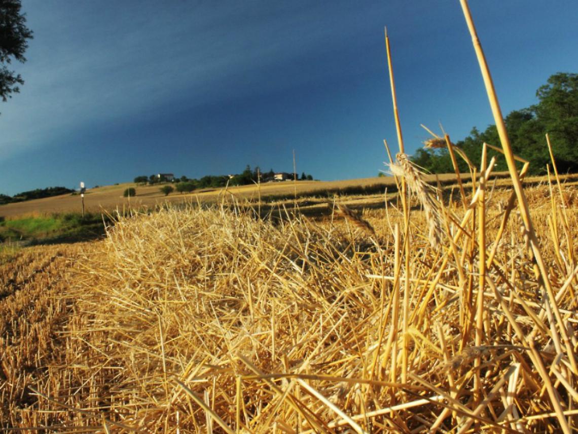 WeLand inaugura a Portacomaro la mostra fotografica "I paesaggi del Monferrato"
