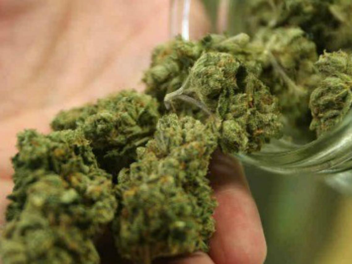 Possesso e coltivazione di marijuana, denunciato 17enne di Castelnuovo Don Bosco