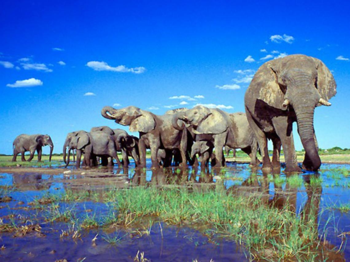 L'Africa dei grandi spazi in fotografia