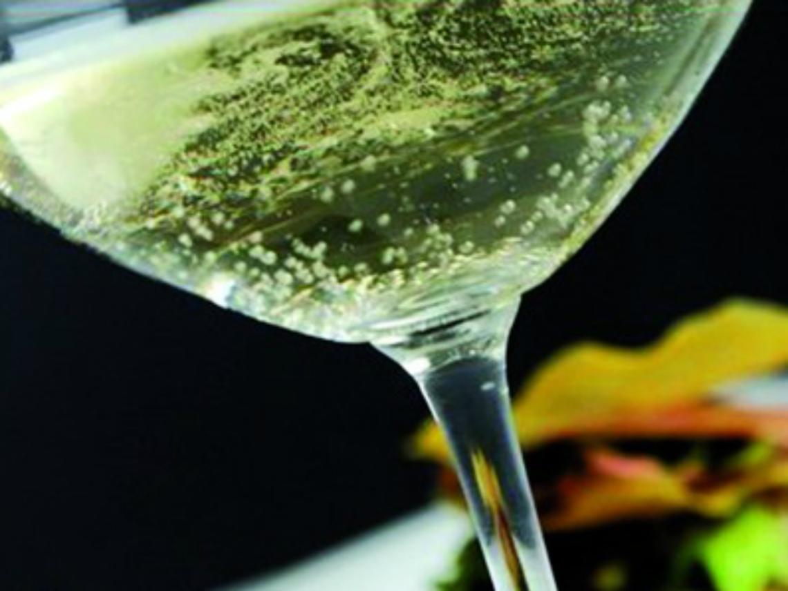 Asti docg, la sentenza gela Zonin<br/>Asti &egrave; fuori dalla denominazione