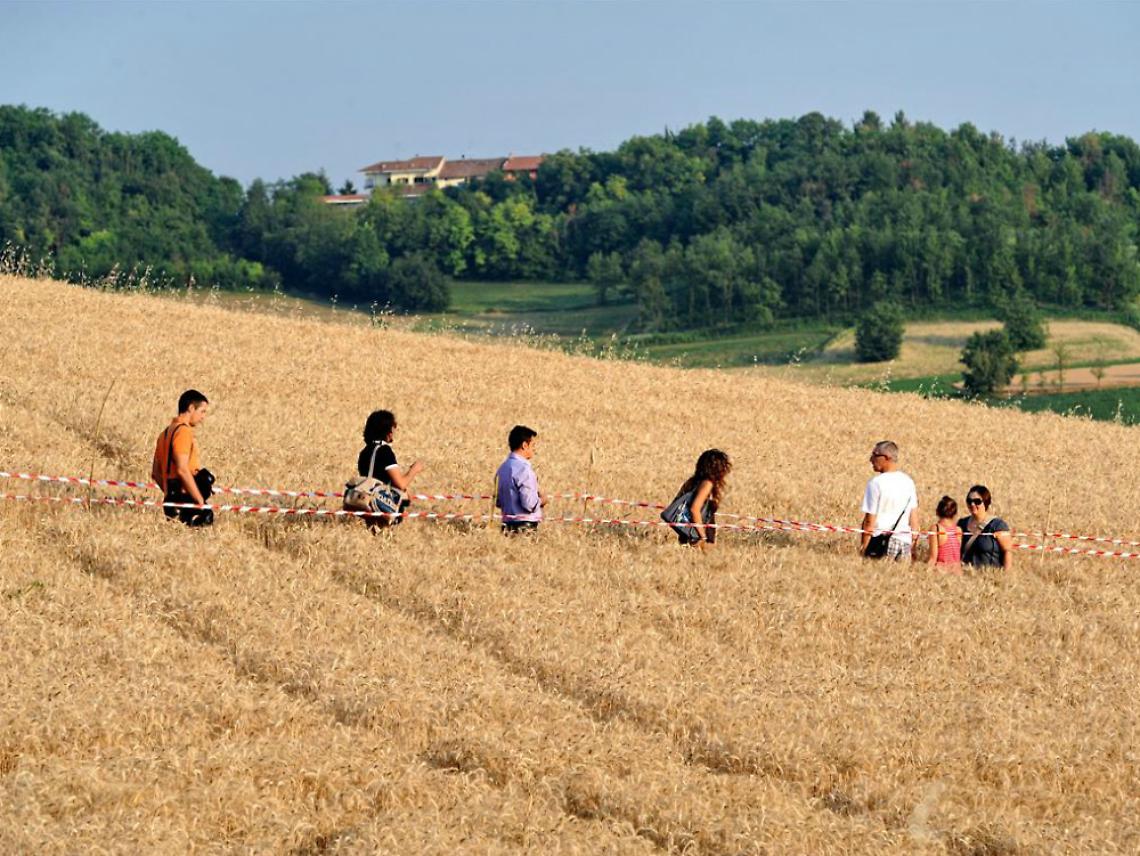 Il cerchio nel grano a Robella? Vale 500mila euro