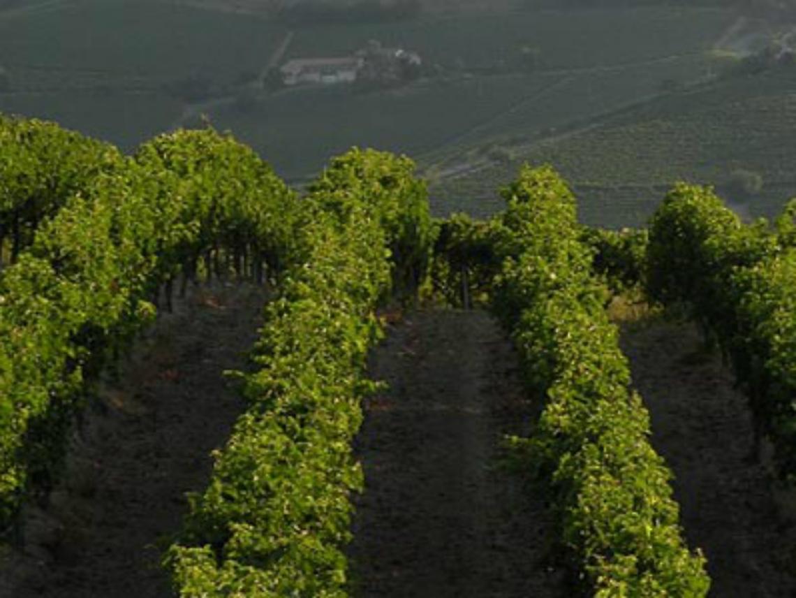 Concorso letterario sul Monferrato per studenti
