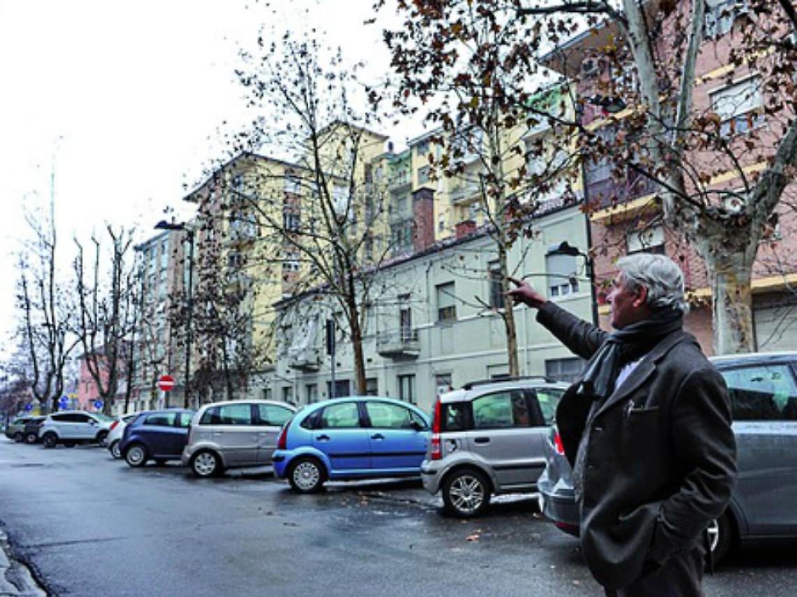 Consumatori: &laquo;Finite di potare gli alberi in Viale Pilone&raquo;