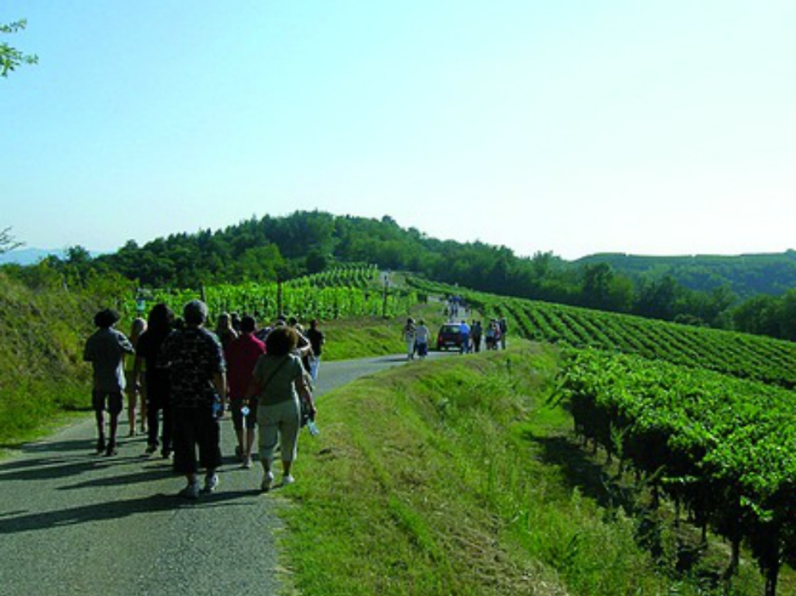 Vinchio, il belvedere del castello corteggia l'Unesco