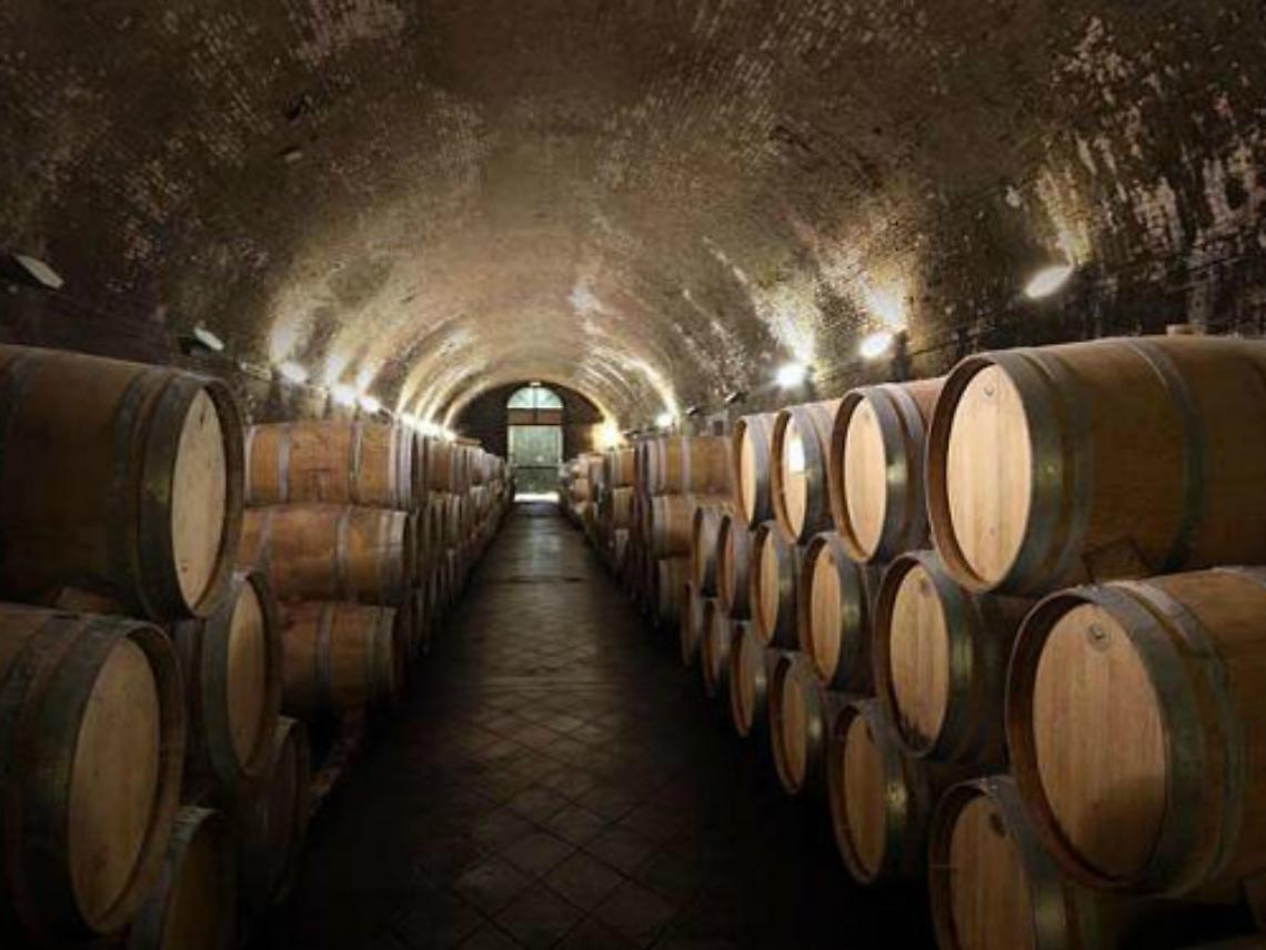 Dai bar alle cantine, con "Mestieri e lavoro" ecco i tirocini anti crisi