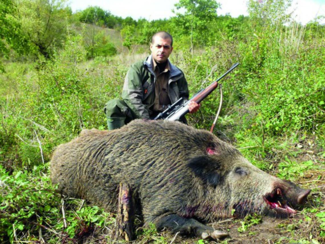 Come contenere cinghiali e caprioli?<br/>L'esempio di cosa fatto da altre parti