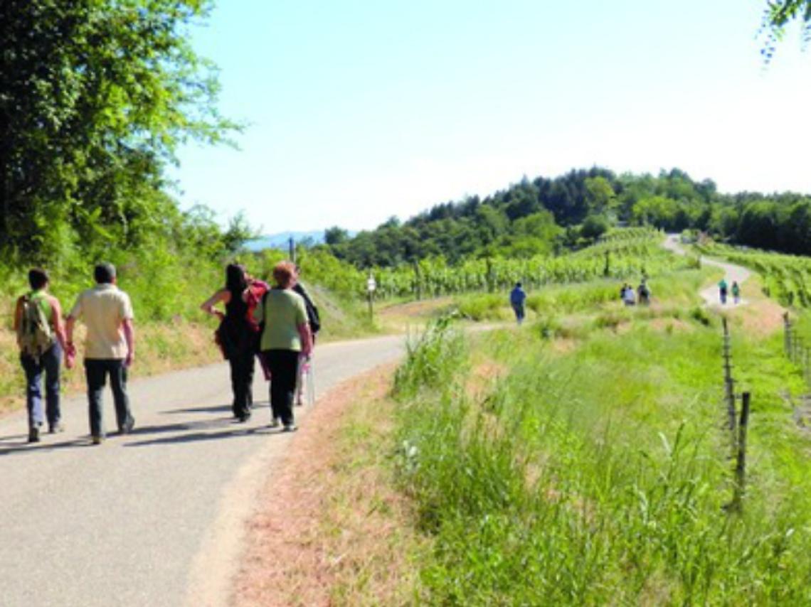 Nei boschi dei Saraceni ricordando Lajolo