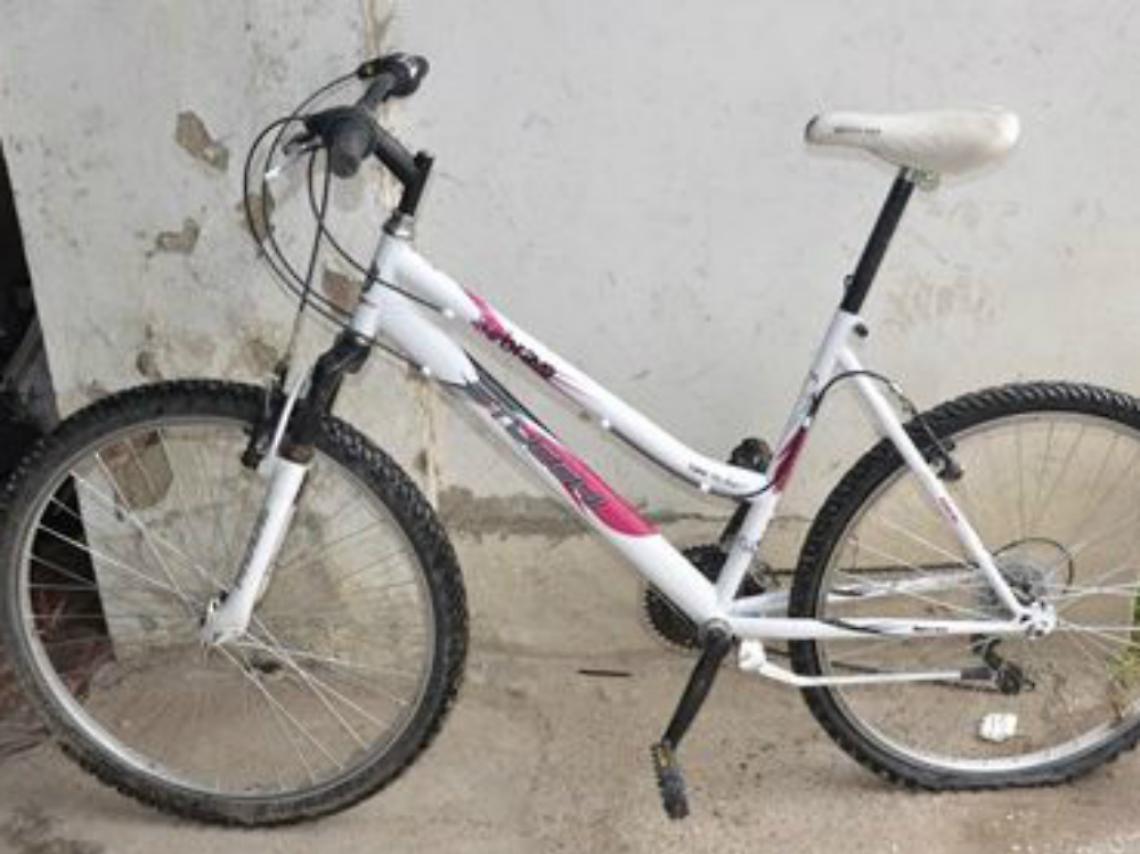 Restituite quasi tutte le biciclette rubate