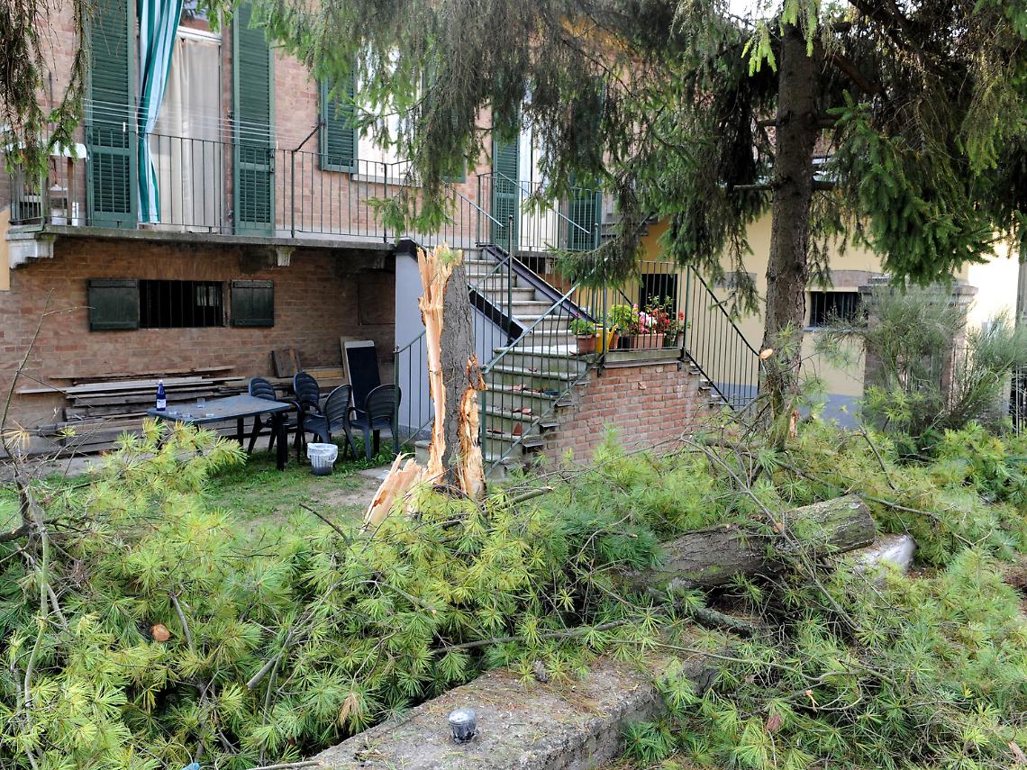 Auto finisce fuori strada in curva<br/>sfonda recinzione e abbatte un pino