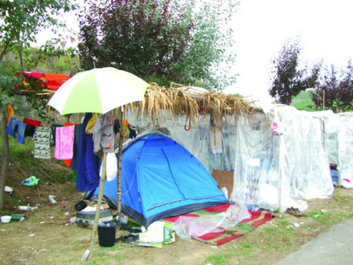 I primi stagionali sono gi&agrave; a Canelli<br/>in attesa della vendemmia
