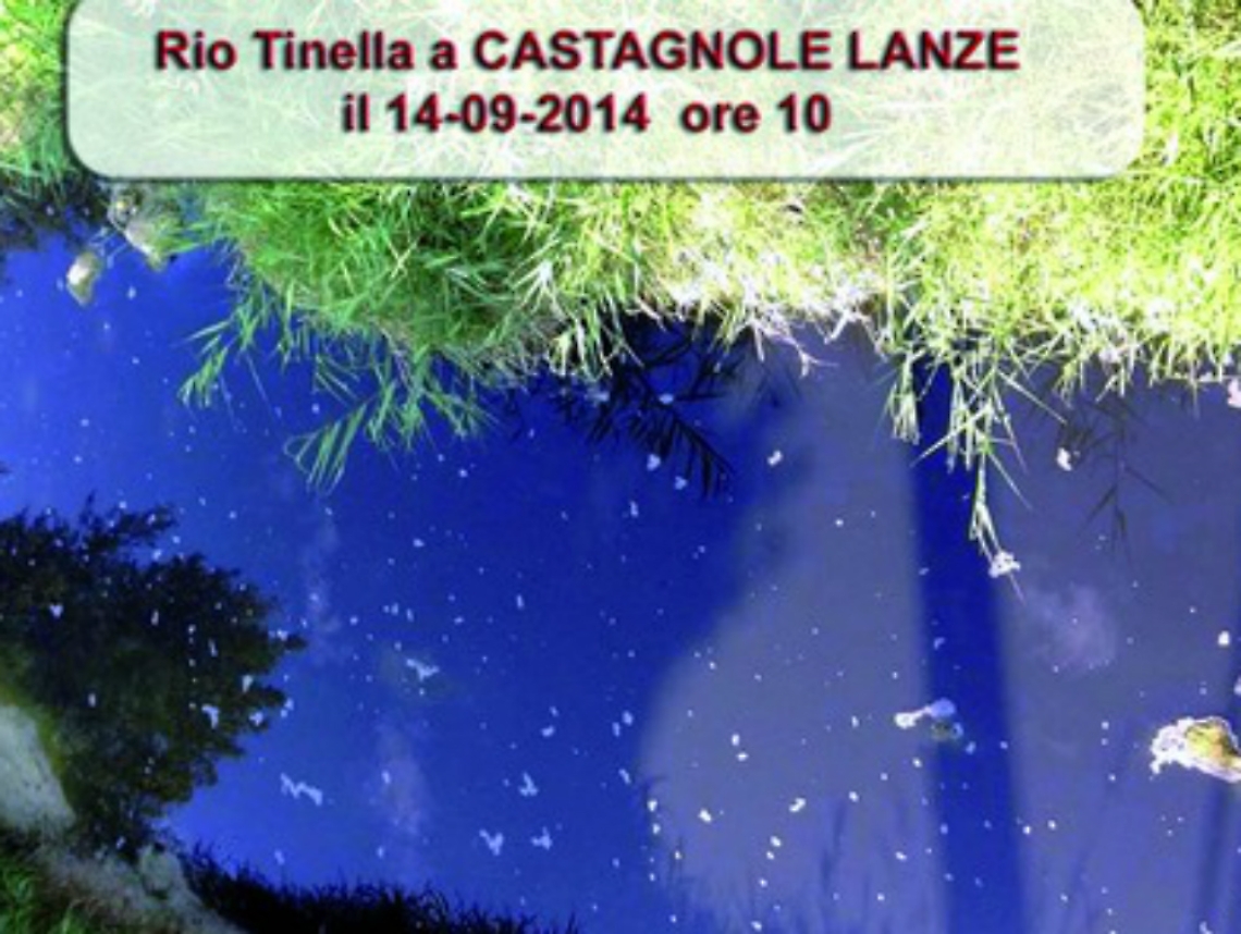 Il rio Tinella si tinge<br/>di "viola vendemmia"