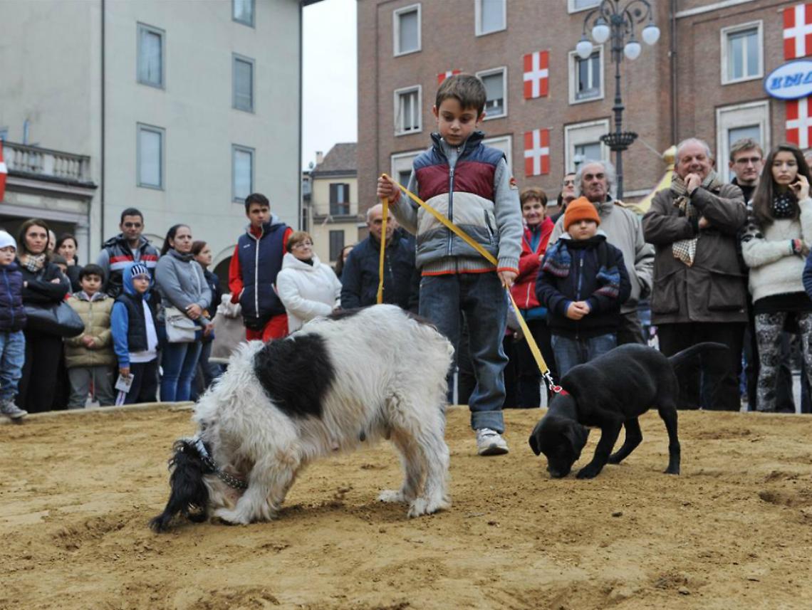 In piazza San Secondo si cercano i tartufi
